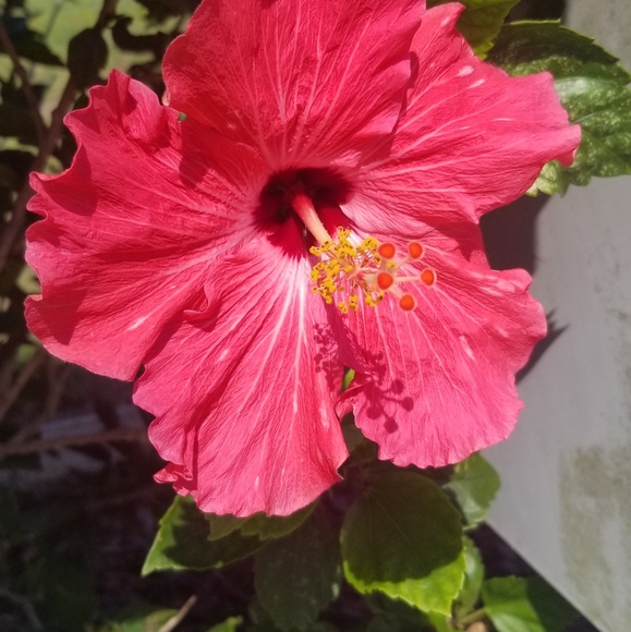 Meet your Posher, Jasmine🦊🌻🍄🥧🍁🍂🐿🦔🦝📚🕯☕🥾👩🏽🌾 - Picture 15 of 16